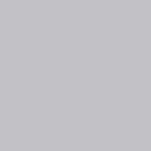 Silber RAL 9006